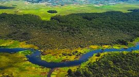 Sumber Gambar: Instagram Rawa Bento