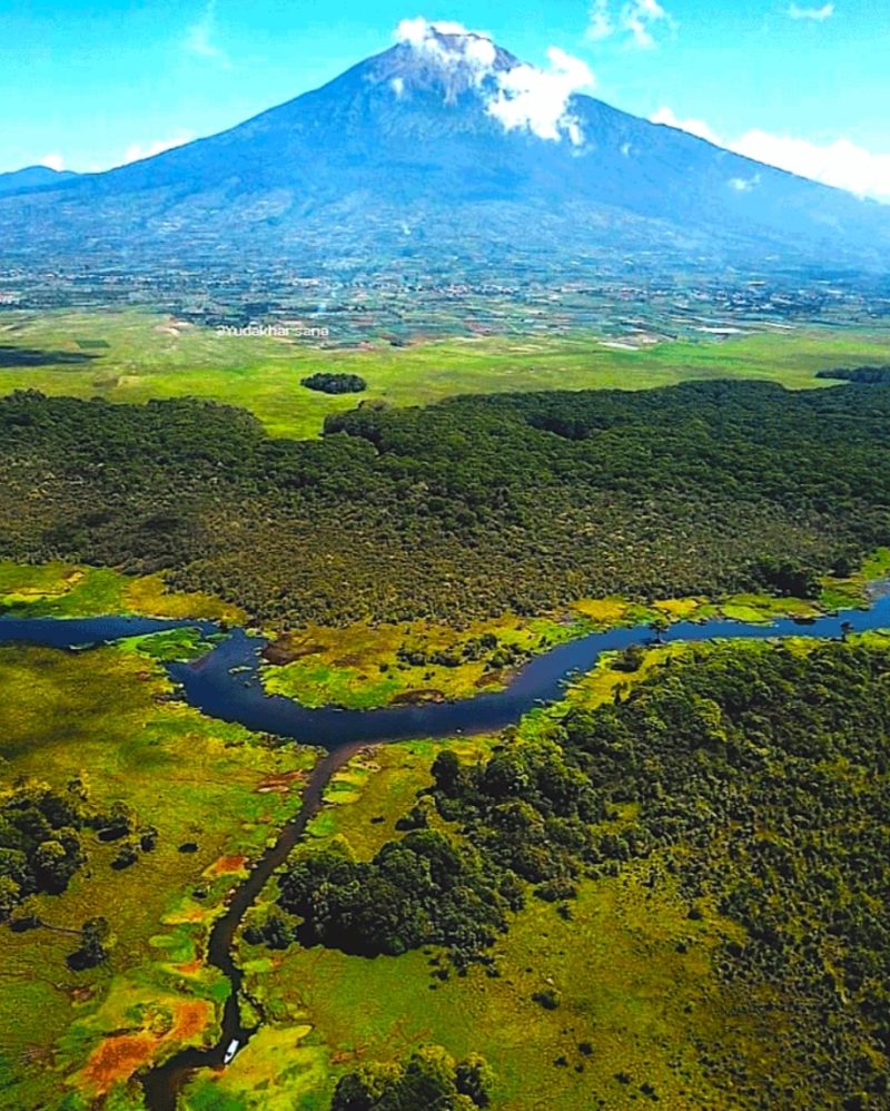 Sumber Gambar: Instagram Rawa Bento