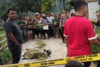 Warga bersama aparat kepolisian berada di lokasi penemuan pria tak bernyawa di pinggir sawah Desa Sembilan, Kecamatan Tanah Kampung, Kota Sungai Penuh, Rabu (12/11/2025).