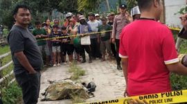 Warga bersama aparat kepolisian berada di lokasi penemuan pria tak bernyawa di pinggir sawah Desa Sembilan, Kecamatan Tanah Kampung, Kota Sungai Penuh, Rabu (12/11/2025).