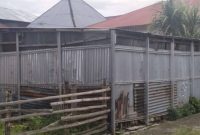 Bangunan kandang sapi yang berdiri dekat permukiman warga di Koto Tuo Ujung Pasir.