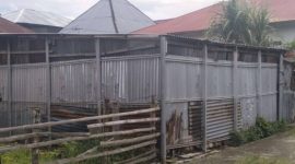 Bangunan kandang sapi yang berdiri dekat permukiman warga di Koto Tuo Ujung Pasir.