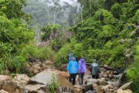 Medan berat yang ditempuh polisi untuk memusnahkan ladang ganja di Aceh (Kurniawan/detikcom)
