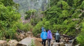 Medan berat yang ditempuh polisi untuk memusnahkan ladang ganja di Aceh (Kurniawan/detikcom)
