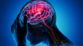 Foto ilustrasi: Getty Images/iStockphoto/peterschreiber.media