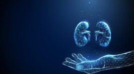 Ilustrasi ginjal digital yang menggambarkan pentingnya menjaga kesehatan fungsi ginjal.