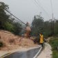 Seorang petugas memeriksa kondisi jalan yang tertutup longsor dan tiang listrik tumbang di tengah hujan deras pada jalur Tapanuli–Sibolga.