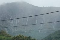 Fenomena air terjun dadakan dari perbukitan Sembalun, Lombok Timur, NTB, saat hujan deras, Senin (8/12/2025). Foto: Tangkapan layar video

