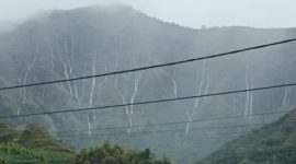 Fenomena air terjun dadakan dari perbukitan Sembalun, Lombok Timur, NTB, saat hujan deras, Senin (8/12/2025). Foto: Tangkapan layar video

