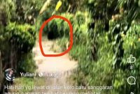 Keterangan Foto ( Tangkapan layar)