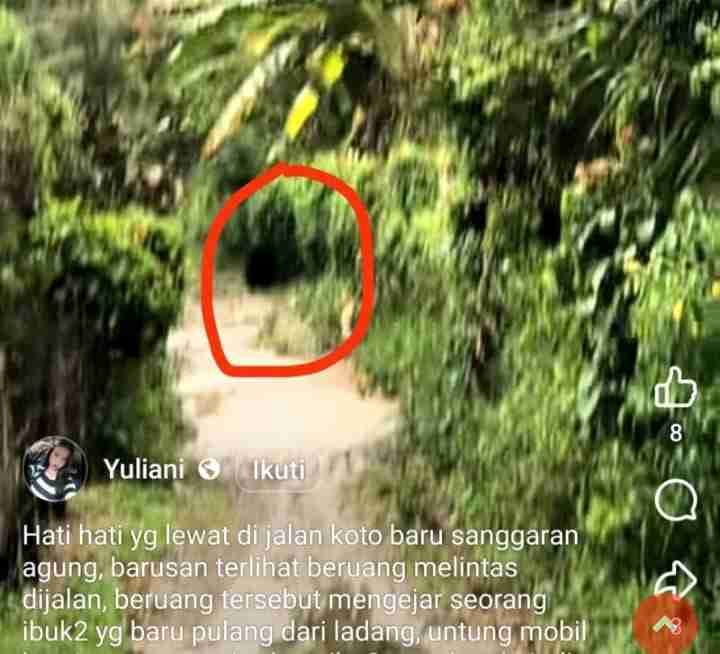 Keterangan Foto ( Tangkapan layar)