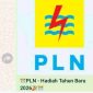 Tautan hoaks yang mengatasnamakan PT PLN terkait hadiah Tahun Baru (Foto: Tangkapan Layar)