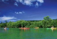 Wisata petualangan kayak di kawasan hutan mangrove menawarkan pengalaman alam yang tenang dan berkelanjutan.