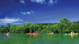 Wisata petualangan kayak di kawasan hutan mangrove menawarkan pengalaman alam yang tenang dan berkelanjutan.