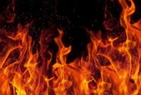 Ilustrasi (Foto: Getty Images/iStockphoto/OlgaMiltsova)