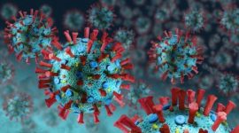 lustrasi (Foto: Getty Images/Grafissimo)

