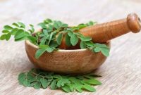 Daun kelor segar yang digunakan sebagai bahan herbal tradisional kaya nutrisi.