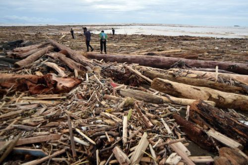 Sejumlah warga melintas di antara tumpukan kayu gelondongan yang terbawa banjir dan menumpuk di Pantai Air Tawar, Padang, Sumatera Barat, Jumat (28/11/2025). Foto: ANTARA/Iggoy el Fitra.