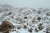 Salju di Tabuk (Foto: SPA via GulfNews)

