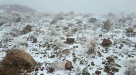 Salju di Tabuk (Foto: SPA via GulfNews)

