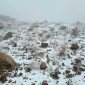 Salju di Tabuk (Foto: SPA via GulfNews)

