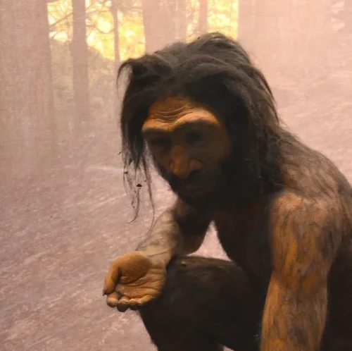 H Juluensis. Foto: Adam Fagen via Greek Reporter