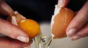 Cara menghilangkan bau amis anyir pada telur sebelum dimasak