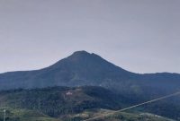 Pendaki melintas di jalur Gunung Talang yang kembali dibuka dengan pembatasan.