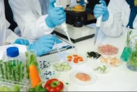Foto iluatrasi BPOM, badan pengawas obat dan makanan, lab makanan, uji lab makanan (Sumber: Envato)