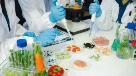 Foto iluatrasi BPOM, badan pengawas obat dan makanan, lab makanan, uji lab makanan (Sumber: Envato)