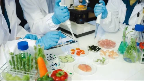 Foto iluatrasi BPOM, badan pengawas obat dan makanan, lab makanan, uji lab makanan (Sumber: Envato)