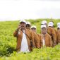 Suasana perayaan seabad Kebun Teh Kayu Aro, warisan hijau kebanggaan Kerinci.