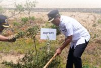 Bupati Kerinci Monadi bersama Wakil Bupati H. Murison dan jajaran Forkopimda menanam pohon di lahan perkantoran RSUD Kabupaten Kerinci saat Gerakan Penanaman Pohon Serentak HUT ke-69 Provinsi Jambi, Rabu (28/01/2026).