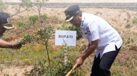 Bupati Kerinci Monadi bersama Wakil Bupati H. Murison dan jajaran Forkopimda menanam pohon di lahan perkantoran RSUD Kabupaten Kerinci saat Gerakan Penanaman Pohon Serentak HUT ke-69 Provinsi Jambi, Rabu (28/01/2026).