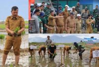 Bupati Kerinci memimpin langsung pemanfaatan lahan tidur untuk meningkatkan ketahanan pangan daerah. (foto Kerinci Satu)