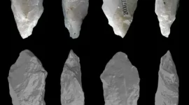 Artefak alat batu bergagang yang ditemukan di situs Xigou, Provinsi Henan, China, menjadi bukti penggunaan teknologi alat komposit oleh manusia purba sejak sekitar 160.000 tahun lalu.