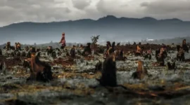 Citra satelit memperlihatkan hutan tropis yang tumbuh kembali secara alami di kawasan bekas deforestasi.