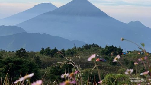Pemandangan Gunung Prau dengan savana luas dan jalur pendakian yang ditutup sementara pada awal 2026.