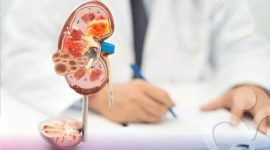 Ginjal berperan menyaring limbah dan menjaga keseimbangan cairan dalam tubuh.