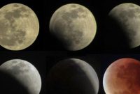 Ilustrasi (Foto: ANTARA FOTO/Yulius Satria Wijaya)