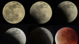 Ilustrasi (Foto: ANTARA FOTO/Yulius Satria Wijaya)