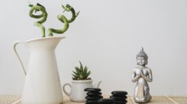 Foto: Ilustrasi Feng Shui. (Dok. Freepik)