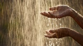 Hujan menjadi rahmat Allah SWT yang menghidupkan bumi sekaligus waktu mustajab bagi umat Islam untuk memanjatkan doa.