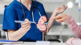 Ilustrasi ginjal manusia yang menunjukkan dampak konsumsi gula berlebih terhadap kesehatan ginjal.