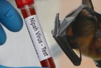 Petugas kesehatan melakukan pemeriksaan hewan untuk mencegah penyebaran virus Nipah di Indonesia.
