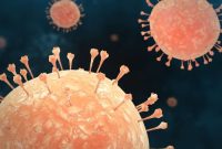 Ilustrasi virus (Foto: Freepik)