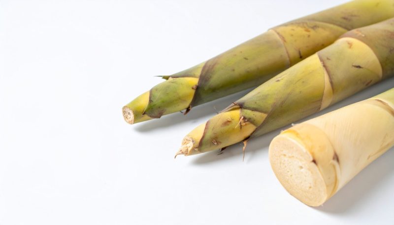 Rebung bambu segar yang kaya serat dan rendah kalori untuk menu sehat harian.