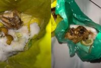 Foto menampilkan pengemasan makanan bergizi gratis yang menjadi sorotan warganet, diambil dari video viral.