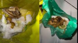 Foto menampilkan pengemasan makanan bergizi gratis yang menjadi sorotan warganet, diambil dari video viral.