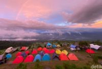 Traveler menikmati suasana sejuk dan hijau di Kebun Raya Dempo, Pagar Alam, sambil camping dan menjelajahi lanskap pegunungan yang menakjubkan
